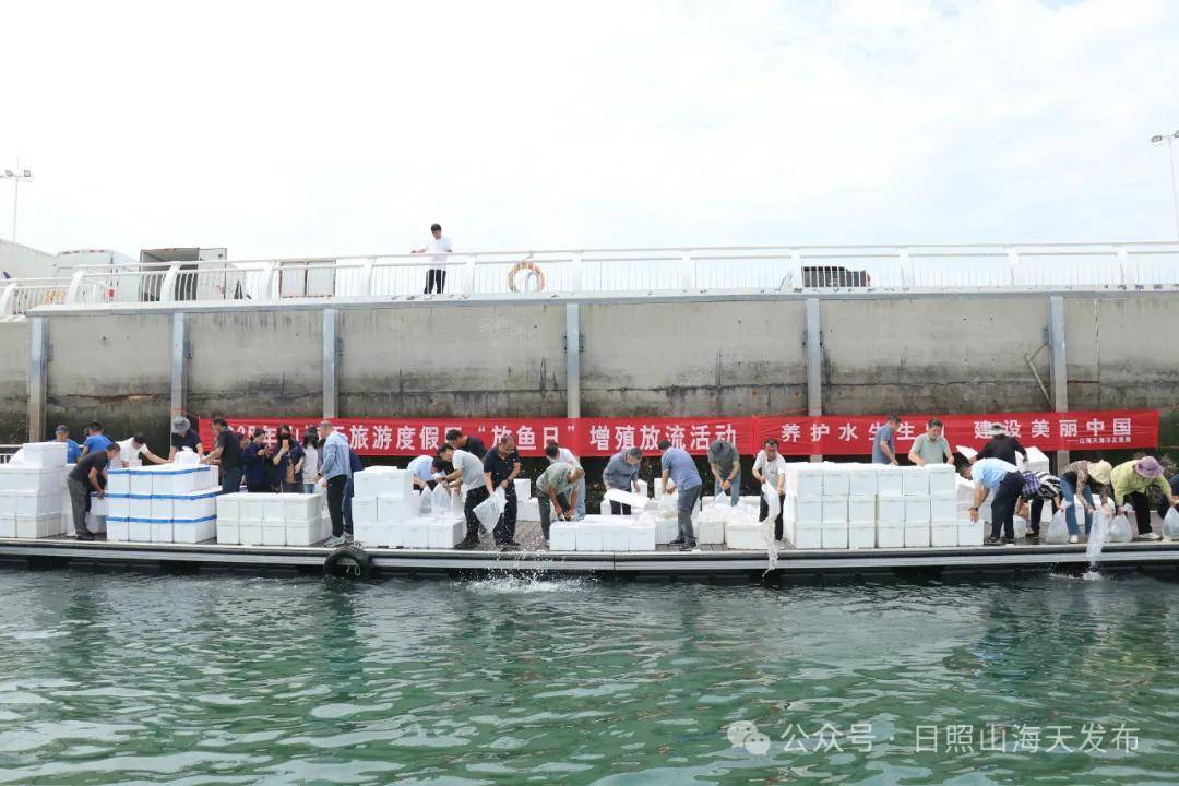 600万尾 “海洋精灵”游向黄海！日照山海天为蓝色粮仓添活力 (图1)