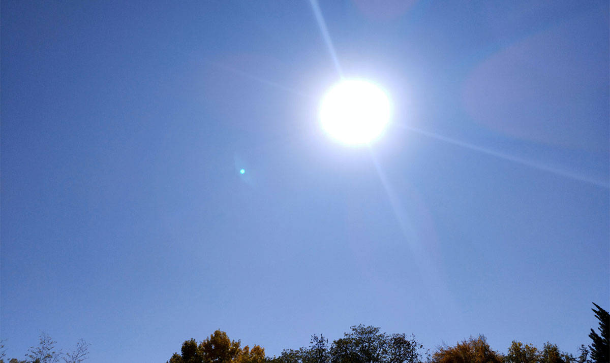 今日五月十五"望日",又是大端午,牢记:1要躲,2不做,吃3样