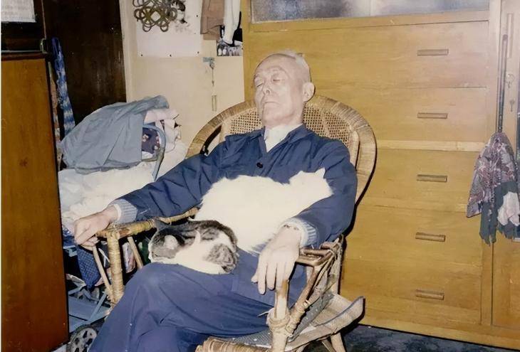 季羡林:一生多病痛,却平安活到98岁,靠的是"三不"养生术