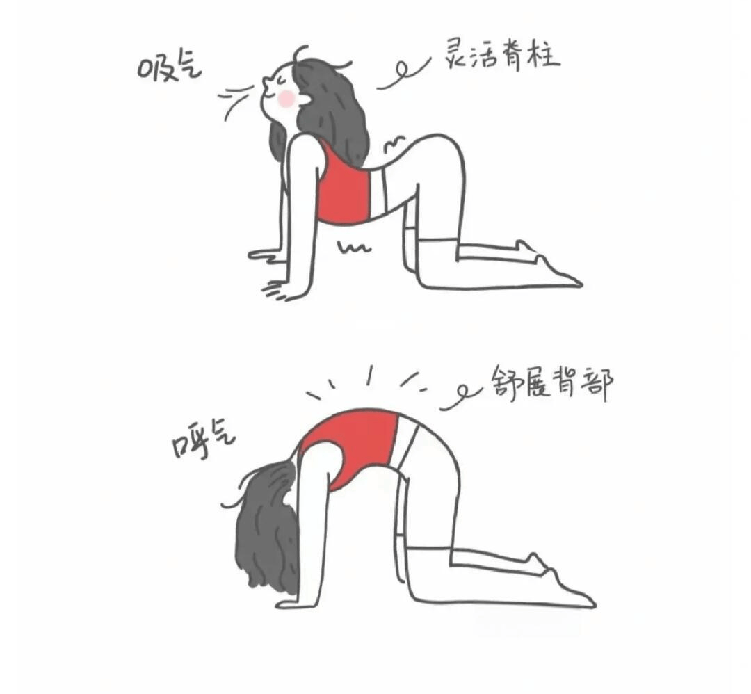 脊柱养生:腰酸背痛?试试这3个医生推荐的运动