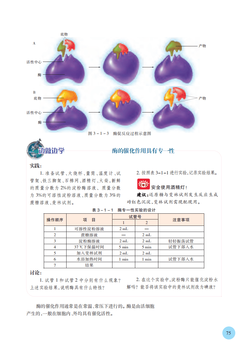 高中生物必修一25(高中生物必修一23) 第1张 高中生物必修一25(高中生物必修一23) 第1张