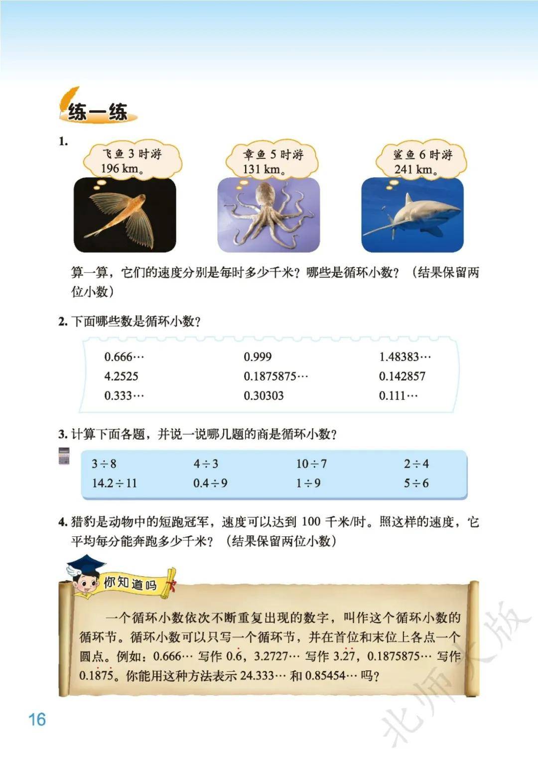 浙江北师大版五年级数学上册课件(北师大五年级数学上册教案课时教案)