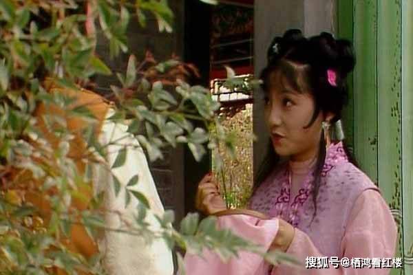 贾母王夫人同宝玉的关系__贾母安排宝玉婚事