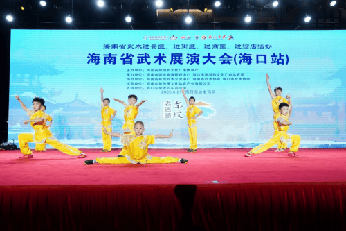 海南省武术锦标赛_海南武术协会会长_