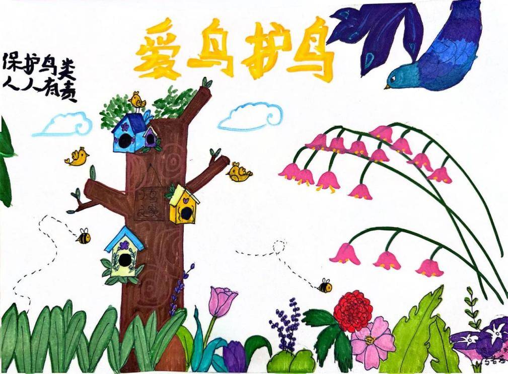 共筑生态家园,西安经开"爱鸟护鸟"主题教育活动进校园