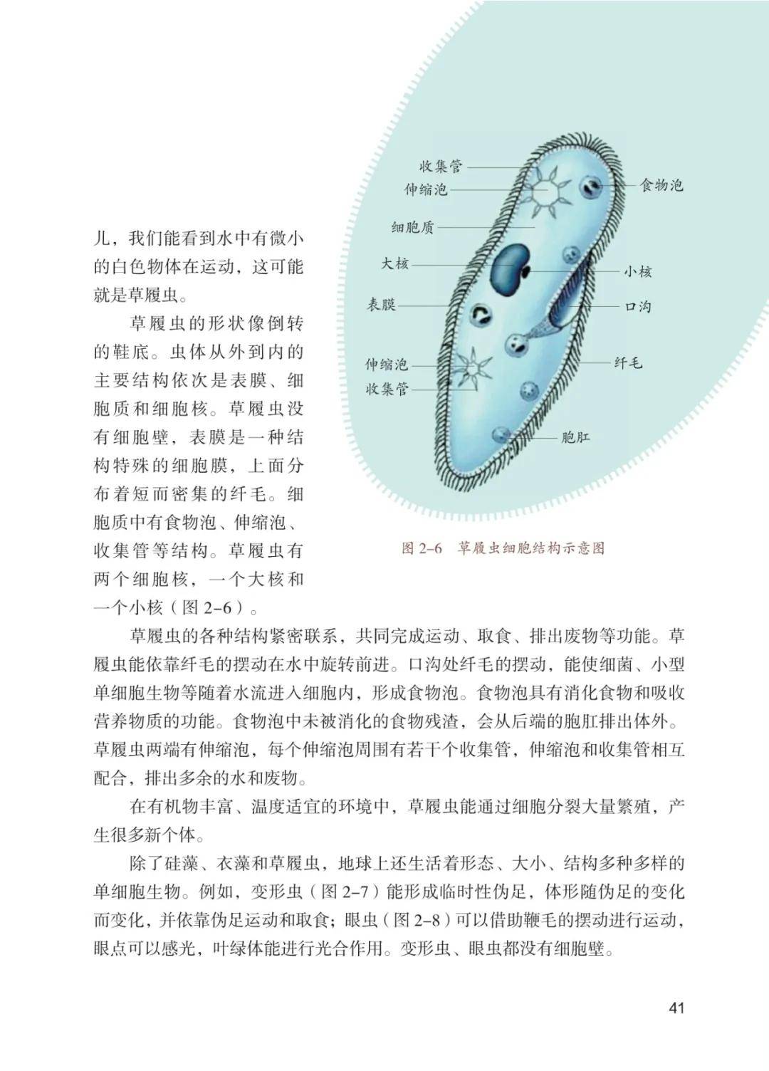 七年级上册生物营养(七年级上册生物营养器官的示意图)  第1张