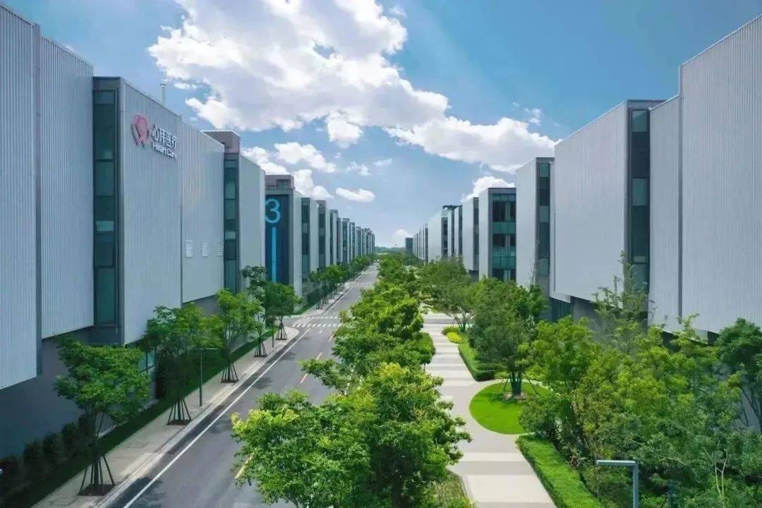 临港新片区 临港生命蓝湾 生物医药基地 医药特色产业园