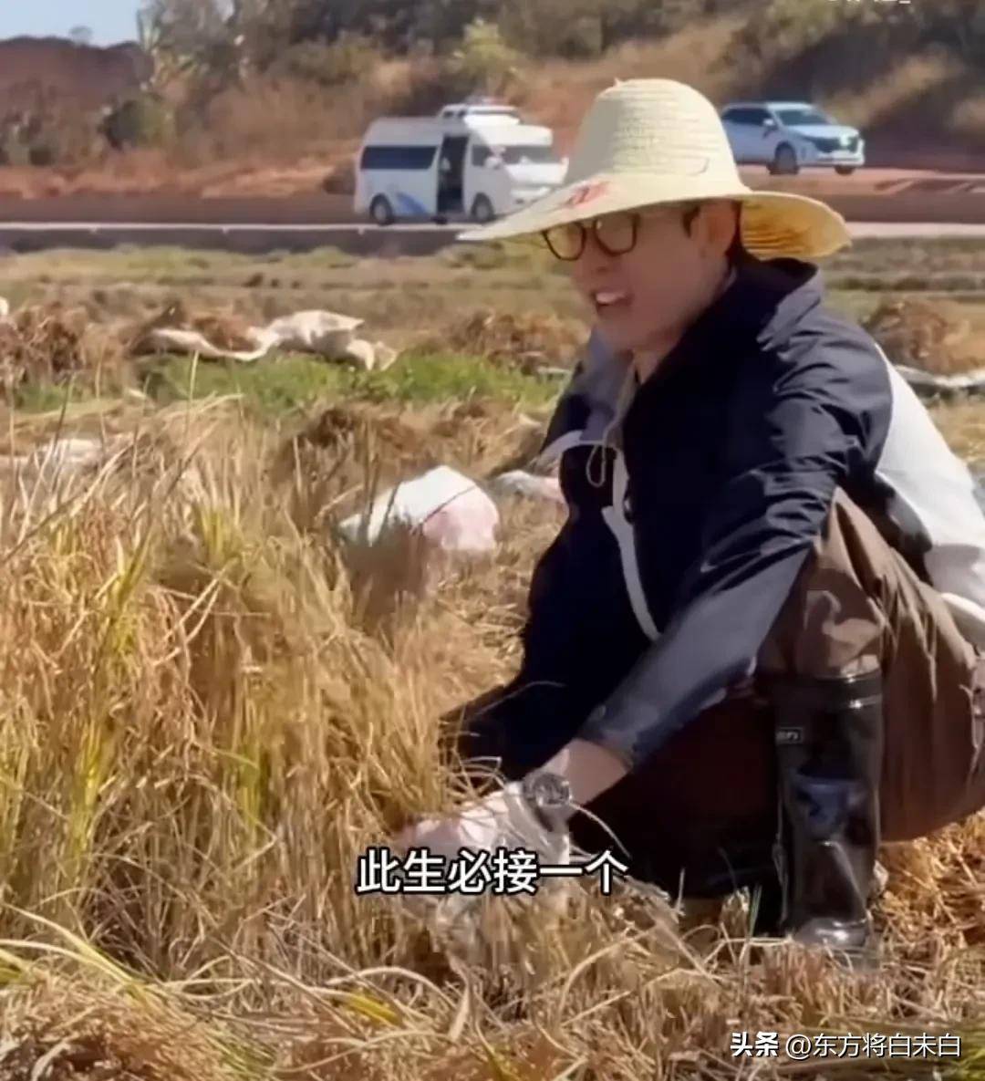 那英在非洲怒骂龚俊经纪人差劲花少7路透简直太夸张了家人们