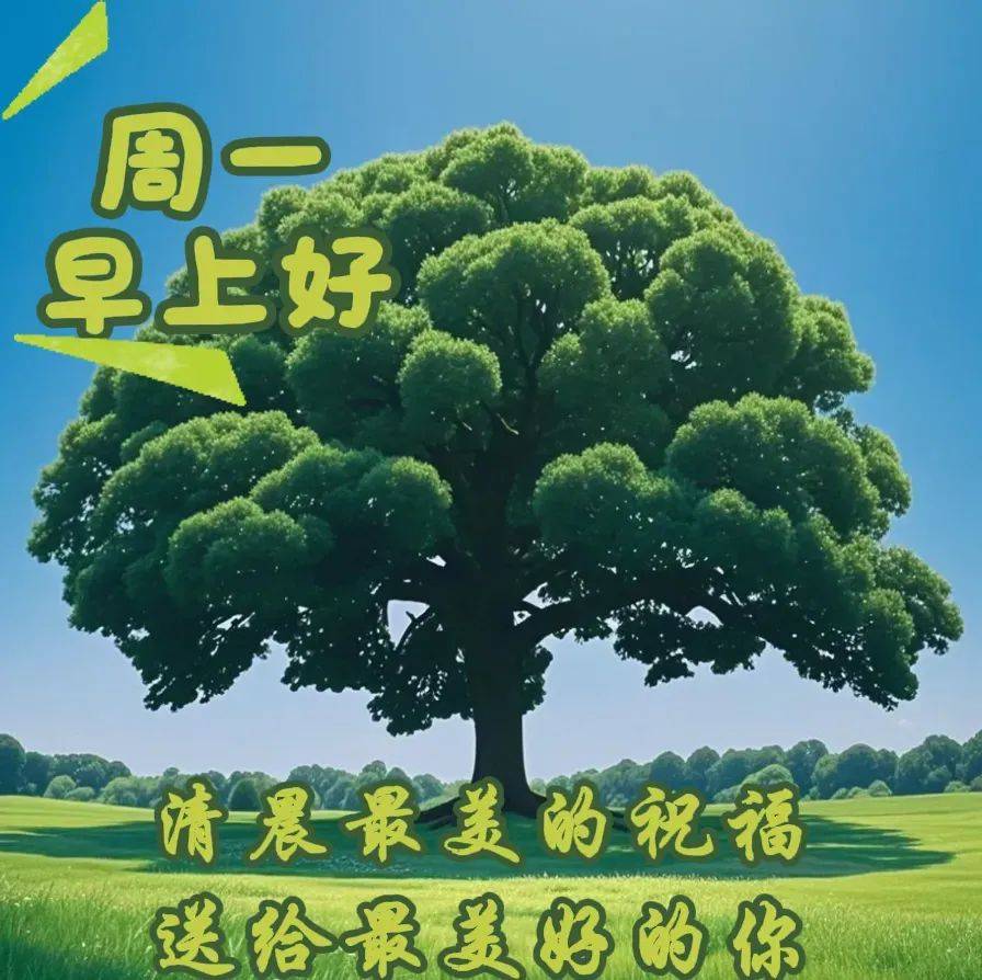周一早安早上好最美祝福图片精选,早安问候暖心间,快乐与你共前行!