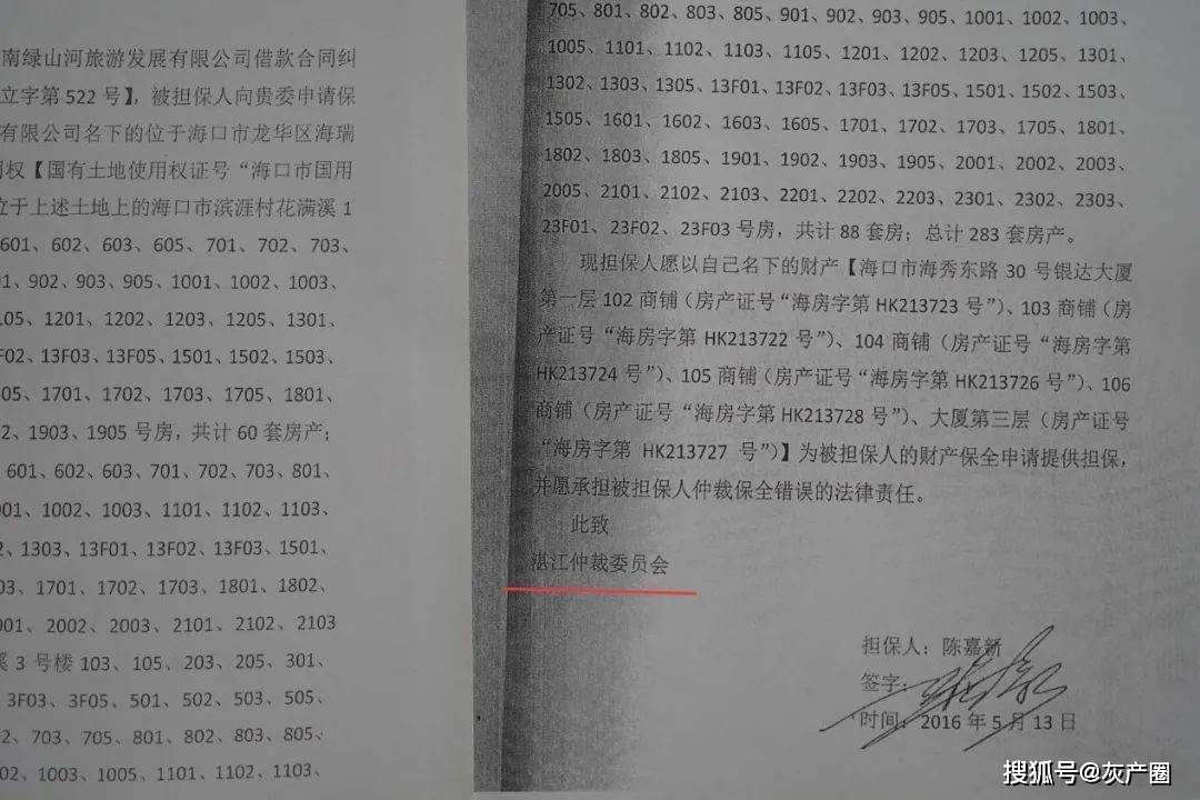 海南富豪陈嘉新被全国扫黑办关注 "高利贷大王"命运或将转折(图10)