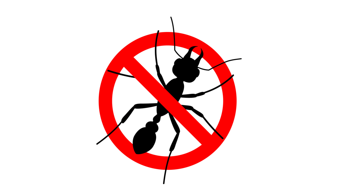 d86b0ccf93824c58ba5e6fa26ade1647