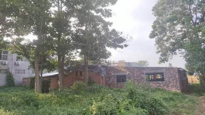 汝州市一村庄内建养猪场被群众多次举报：监管部