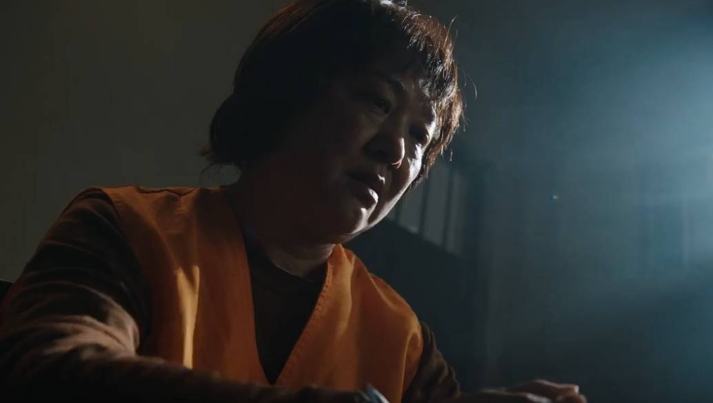 《利剑玫瑰》:红姨终于落网,然然被拐真相浮出出水面