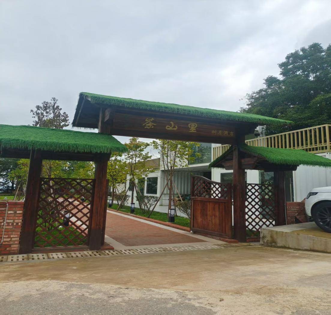 双柏县特色产业赋能乡村振兴:白竹山茶文旅融合激活县域经济新动能