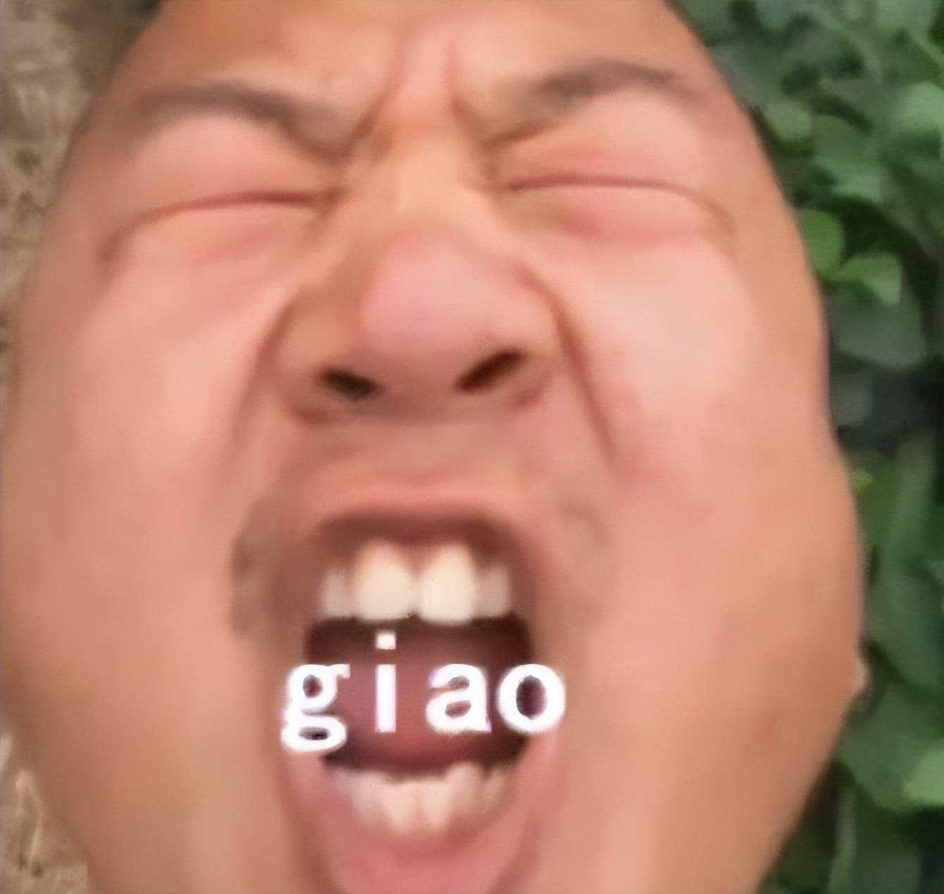 直播_giao_观众