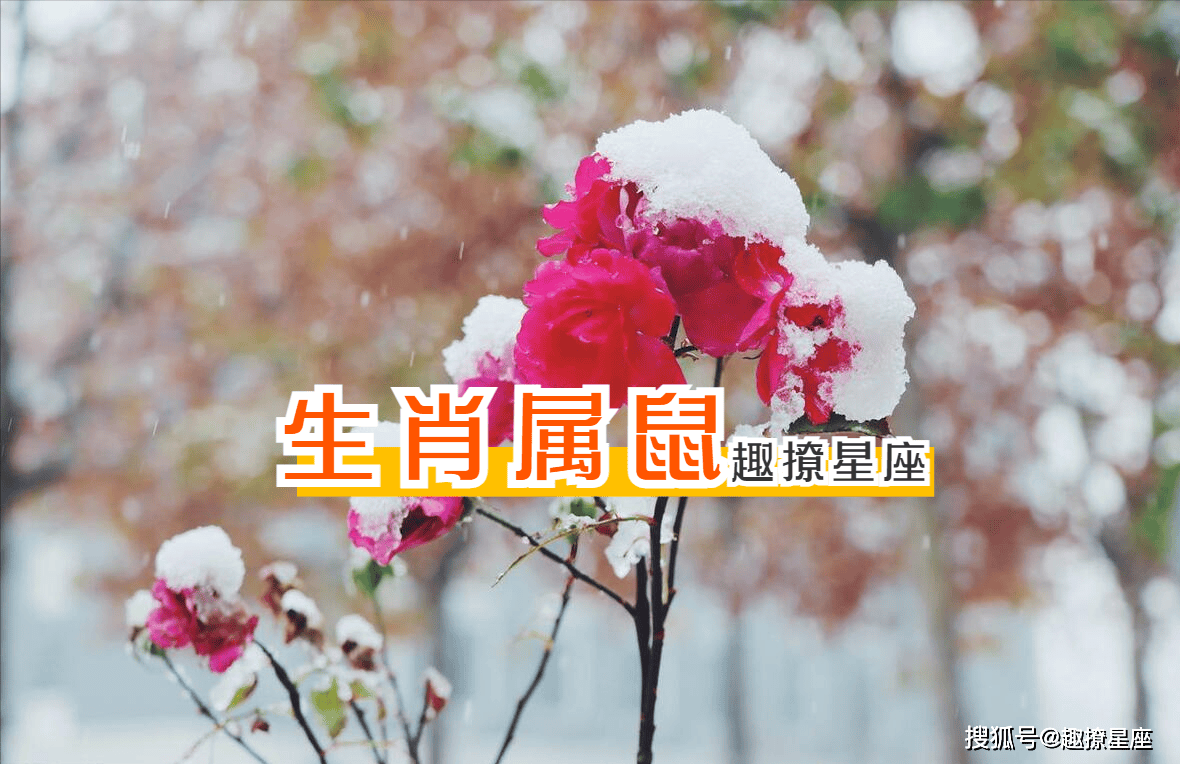 今日冬至生肖运势如何(今天冬至属什么生肖)