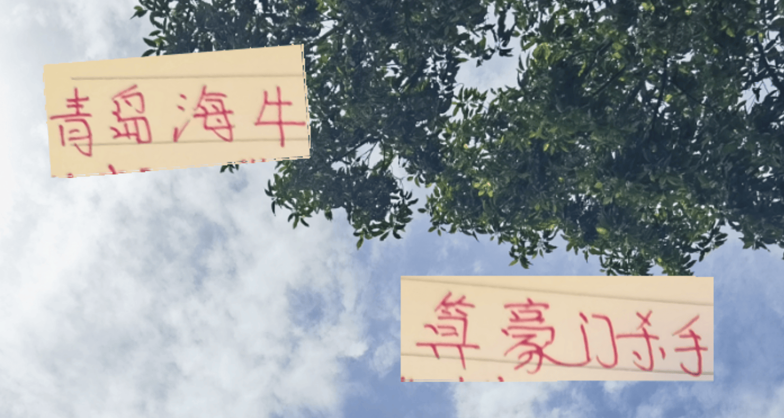 好事多磨！海牛也算豪门绊脚石逼平过成都跟北京下个是申花吗