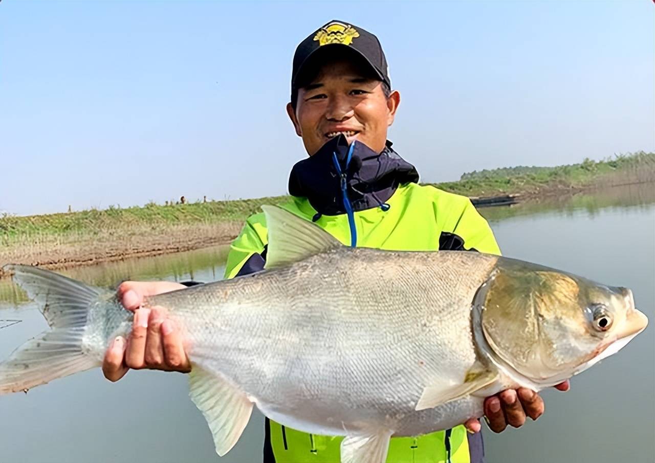 邓刚重庆云阳钓起"花鲢王",网友惊呼:这鱼有没有50岁?