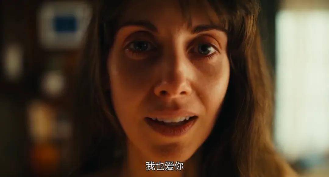 澳大利亚 / 美国类型:爱情 / 恐怖主演:戴夫·弗兰科 / 爱丽森·布里