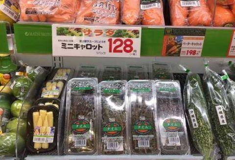 图片[2]-在日本生活一天要花多少钱？这样物价你能接受吗？一颗葱花9块钱 -华闻时空