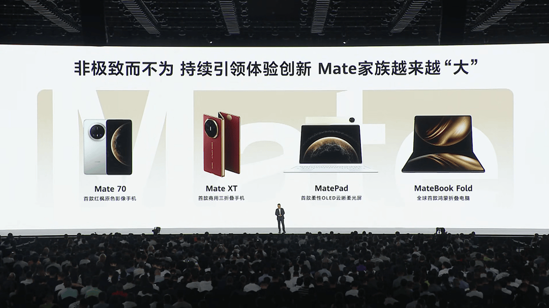非极致而不为：华为智慧屏 MateTV为百年电视按下“快进键”-锋巢网