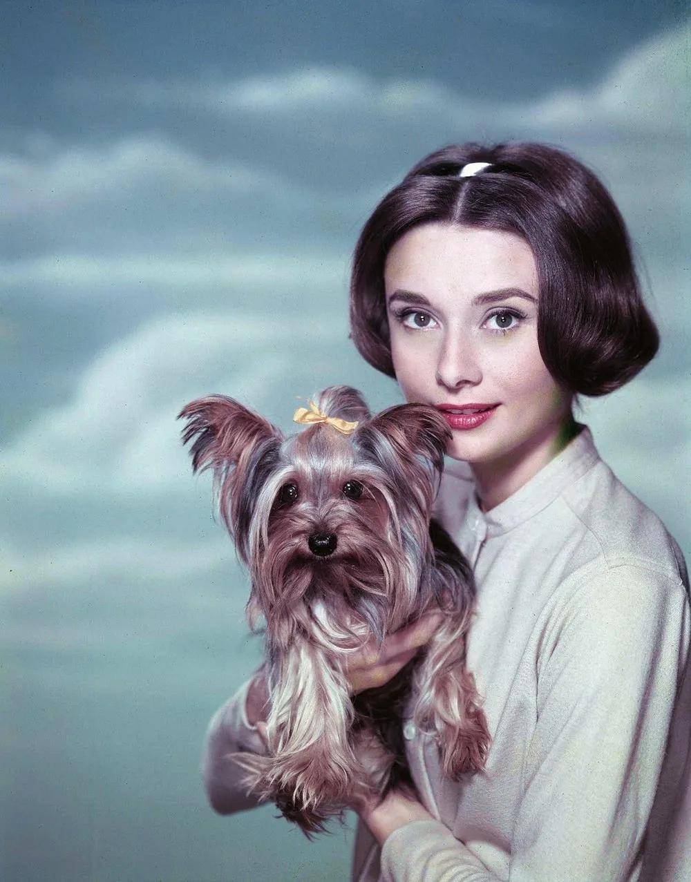 同为女神:赫本63岁善终,梦露36岁香消玉殒,命运为何天壤之别