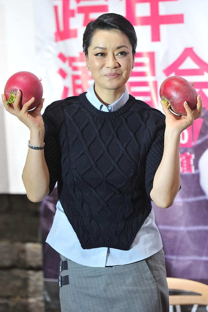 "歌坛大姐大"毛阿敏:40岁嫁富豪,丈夫去世遗留260亿,如今怎样了?