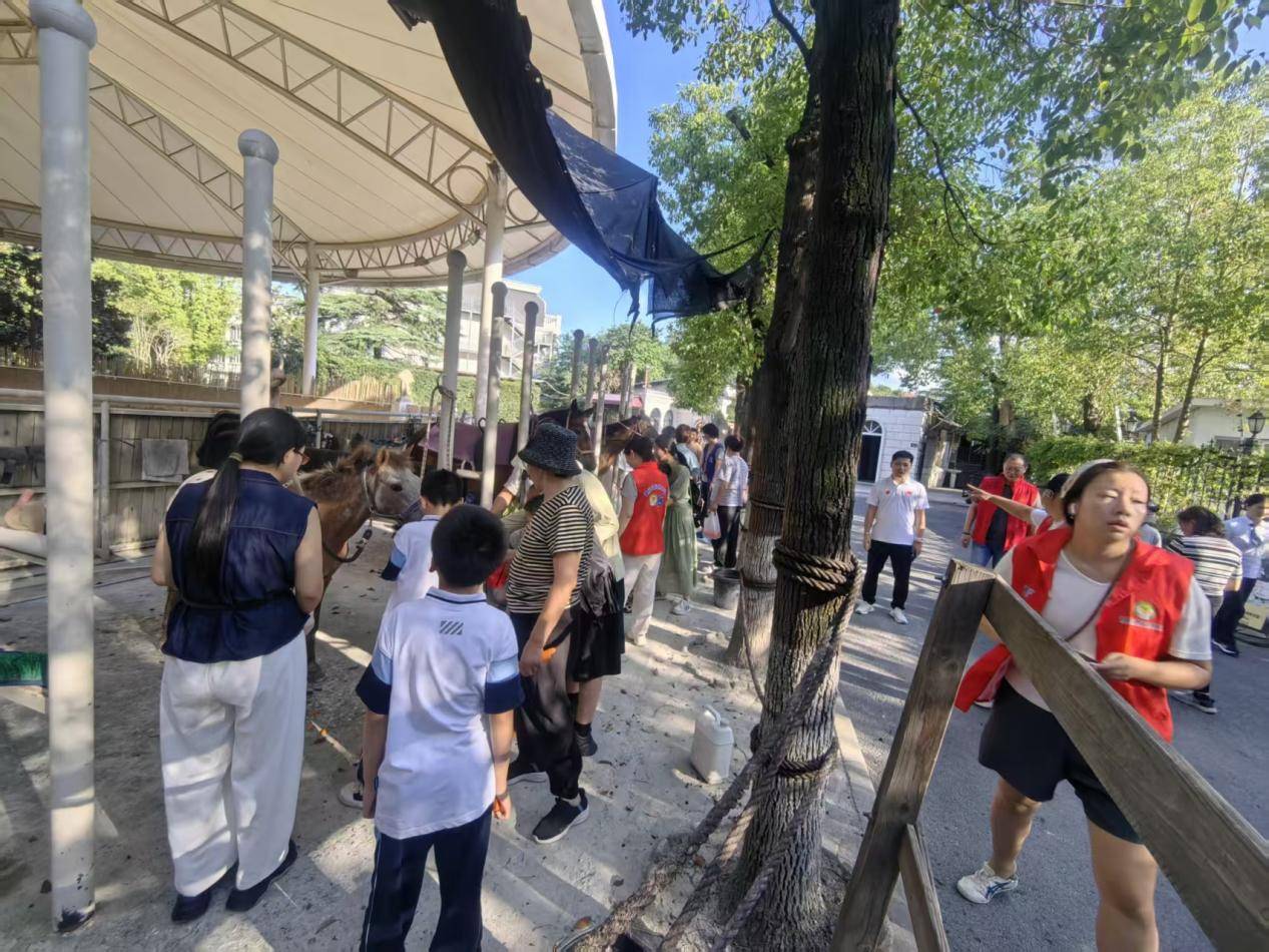 骏马疗愈，公益同行：朱氏新质产业融合志愿团在行动