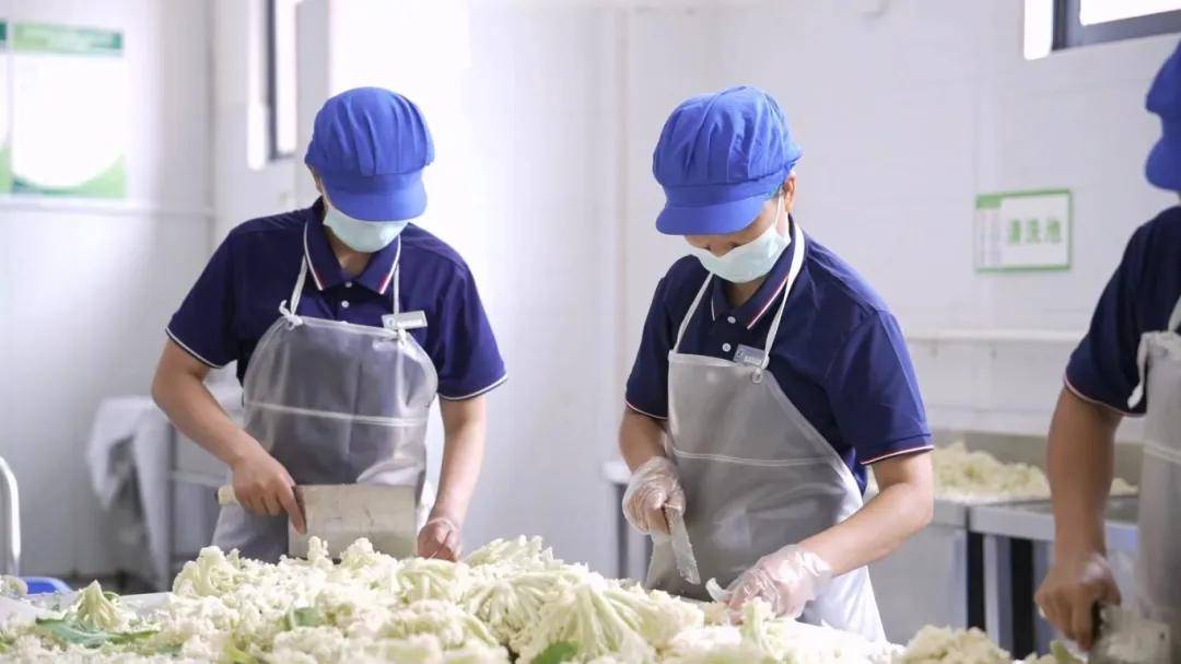 “妈妈的食堂”：由食物安全强迫的父母联盟热