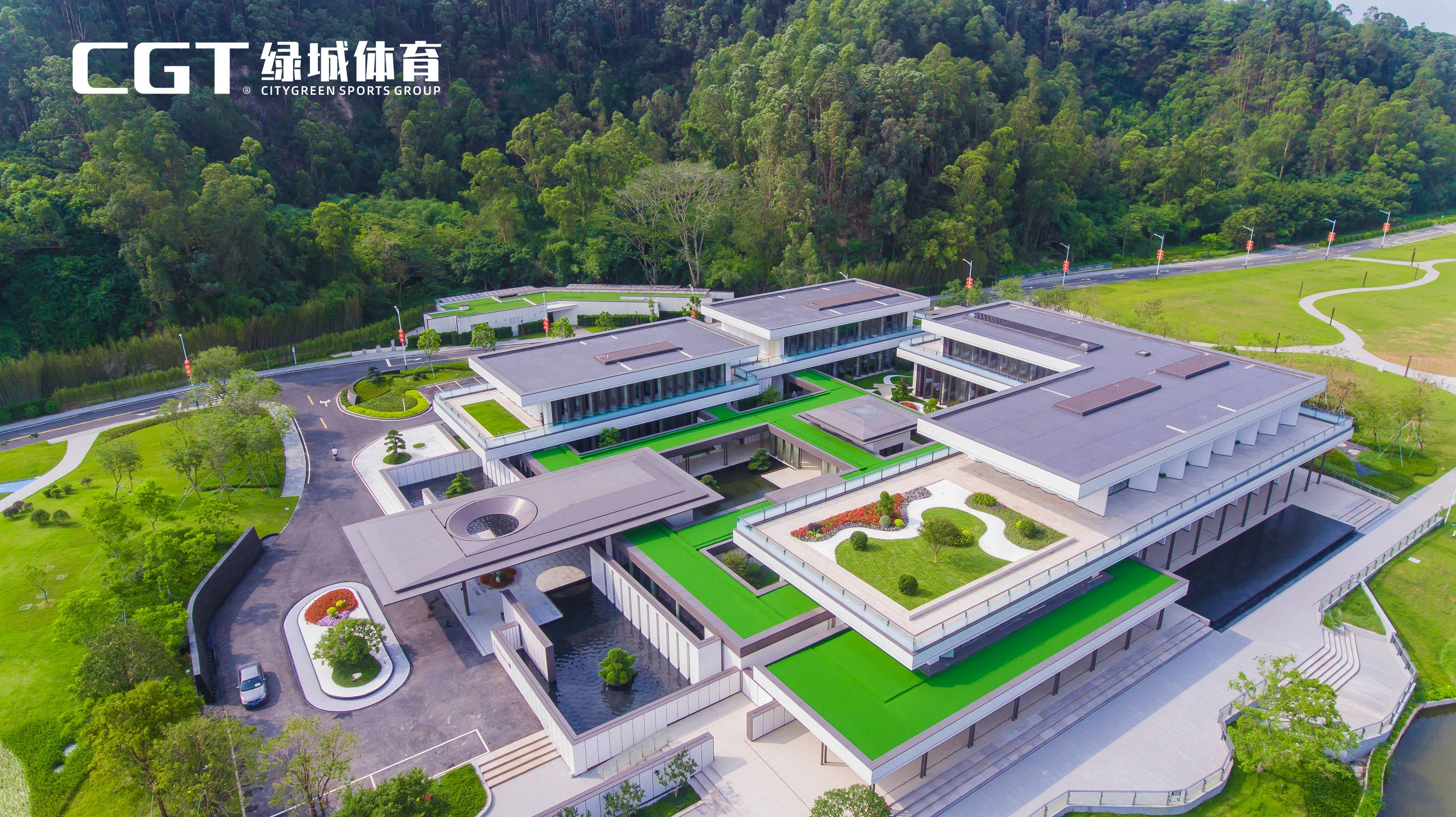 人造草坪价格图片价格大全