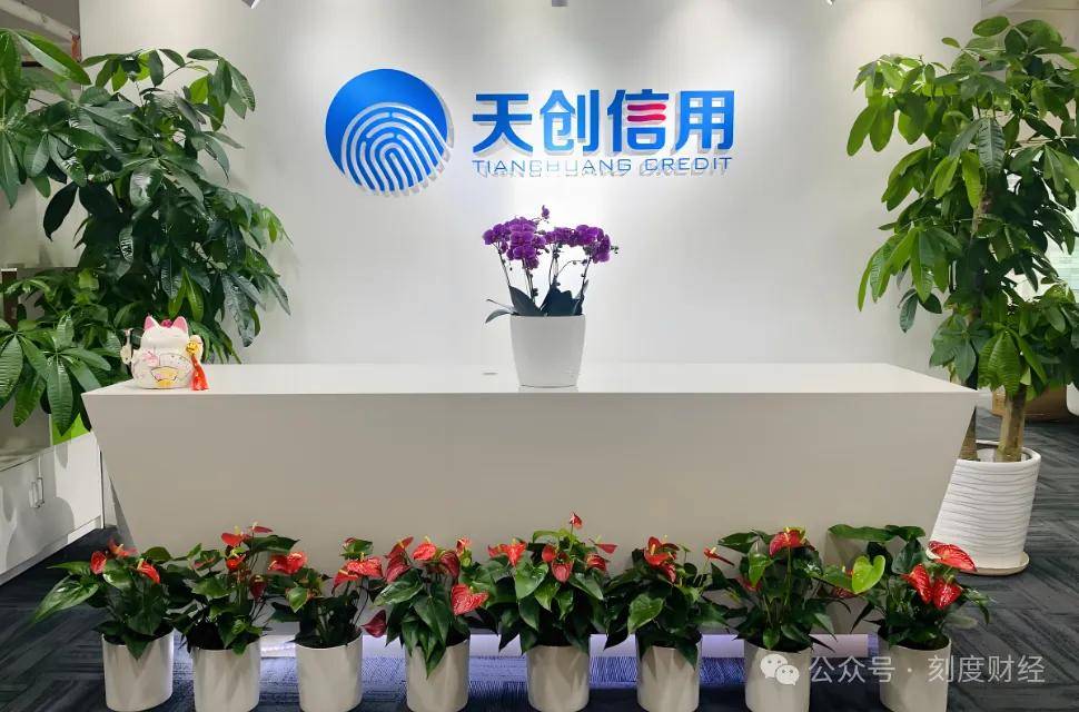 天创信用违规扣费乱象调查：出售"山寨"征信报告 投诉超千条