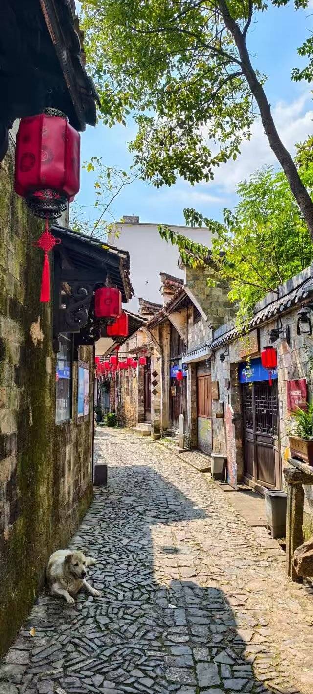 浙江大陈村:全国村歌发祥地 古村藏古韵 村歌绕乡野