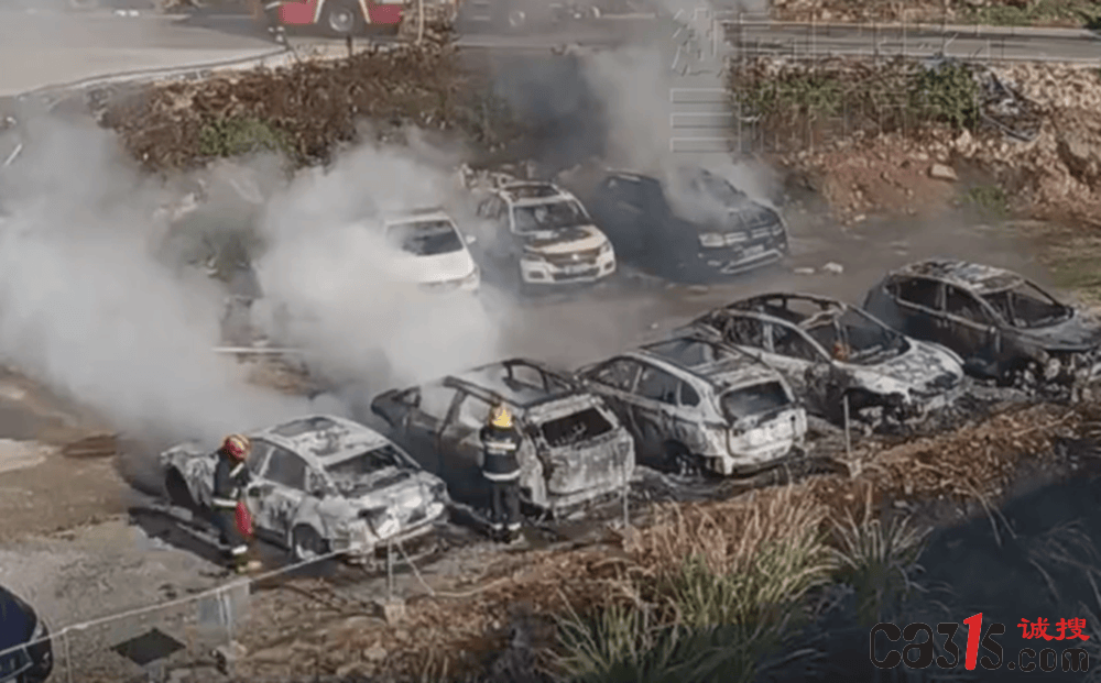 宁德阿维塔06新车起火致八车连环焚毁 车主称