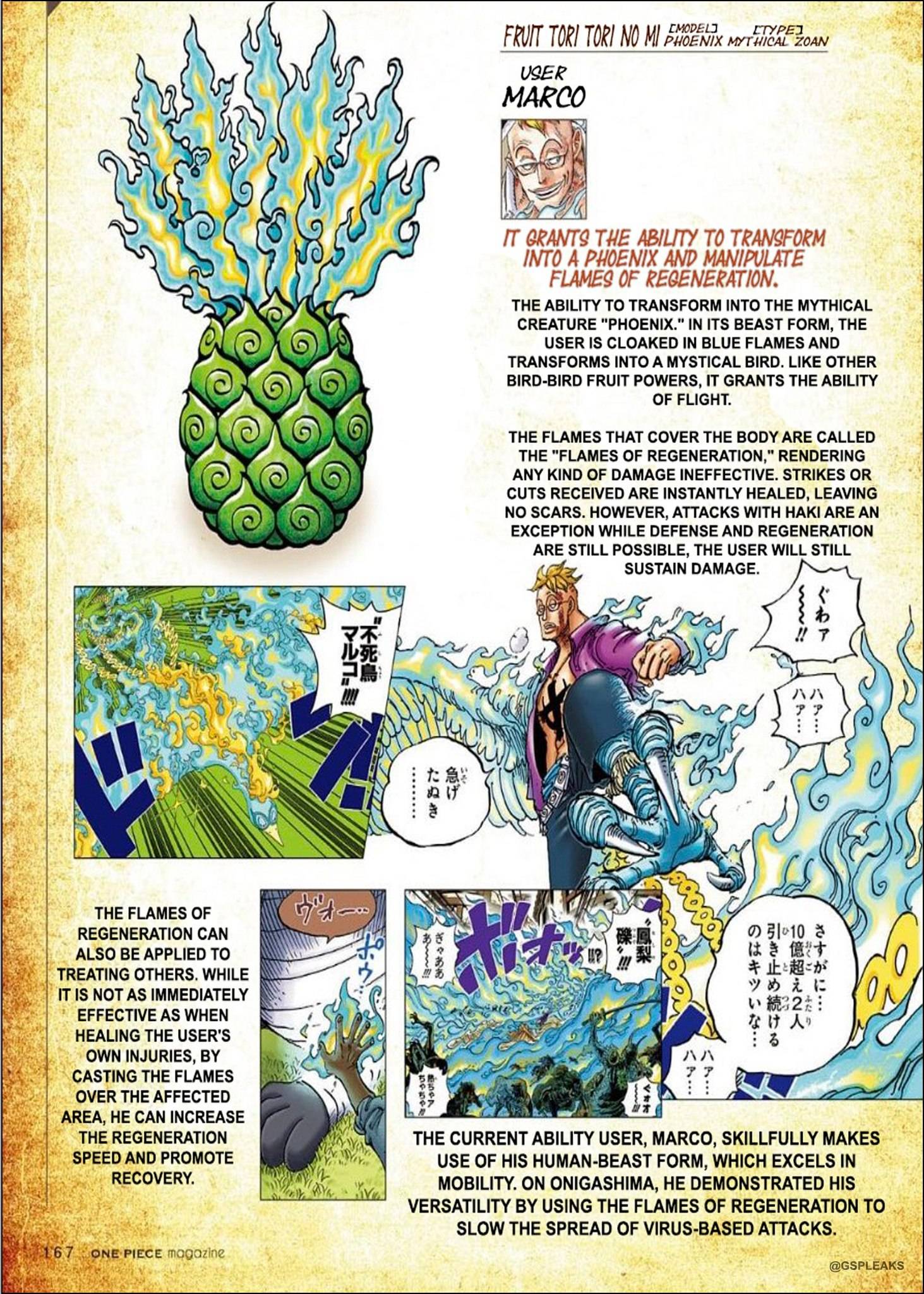 海贼王官方情报:震震果实和不死鸟果实形状公布,超震撼,酷爆了