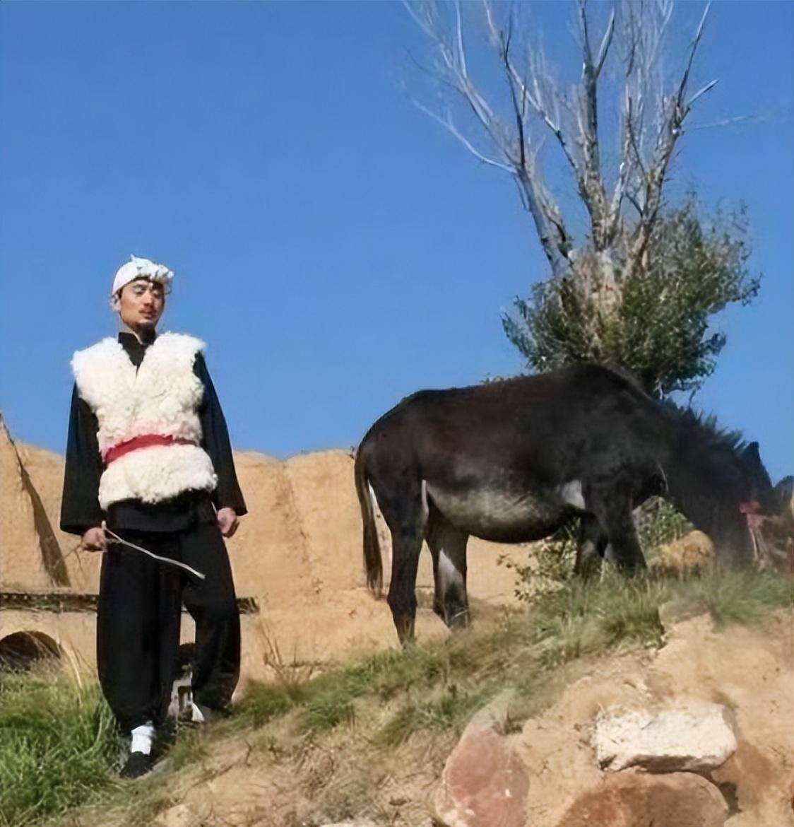 草根明星阿宝从风靡一时到直播卖丑实在是咎由自取