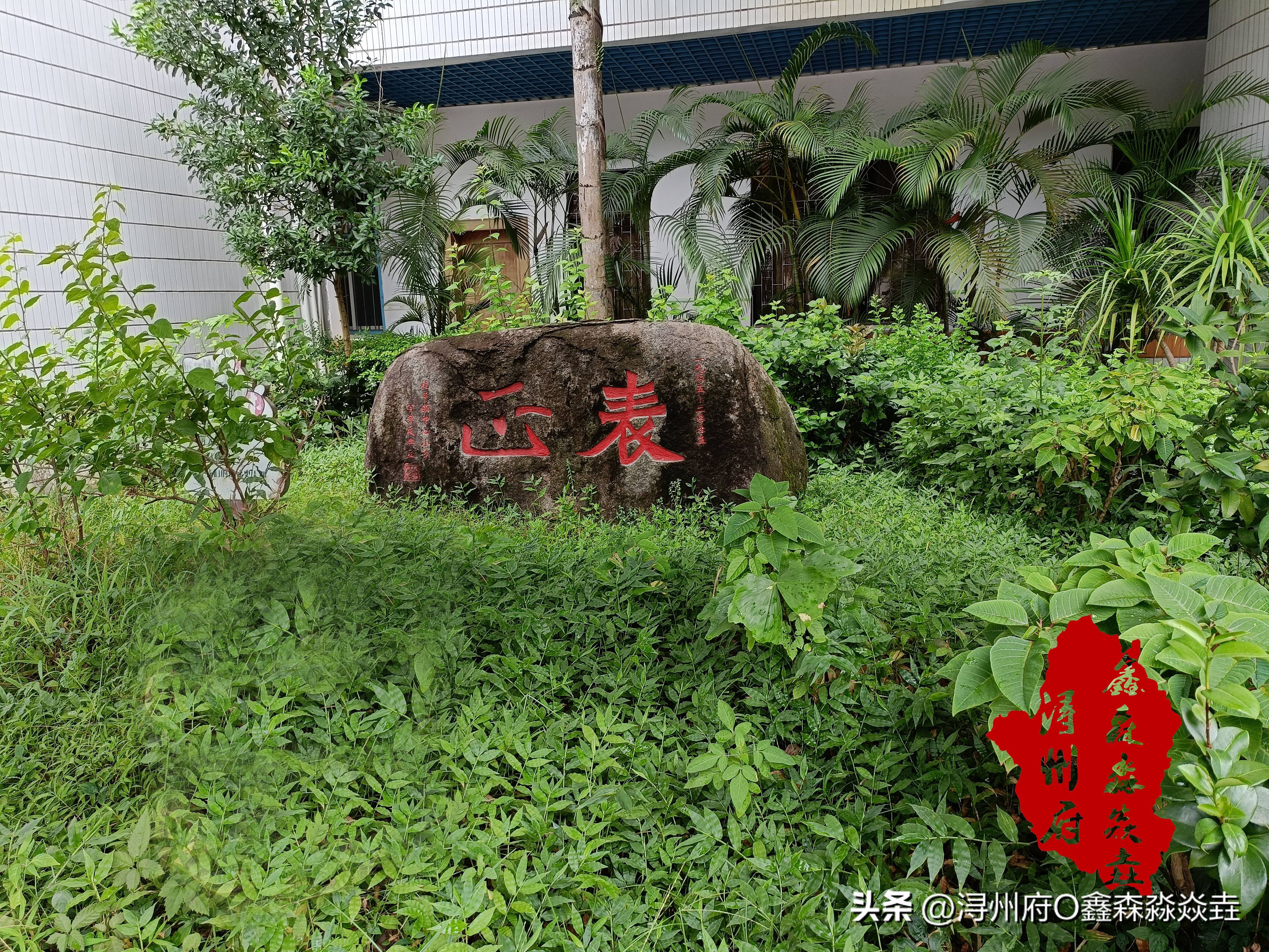 桂平人文:西山镇中心校