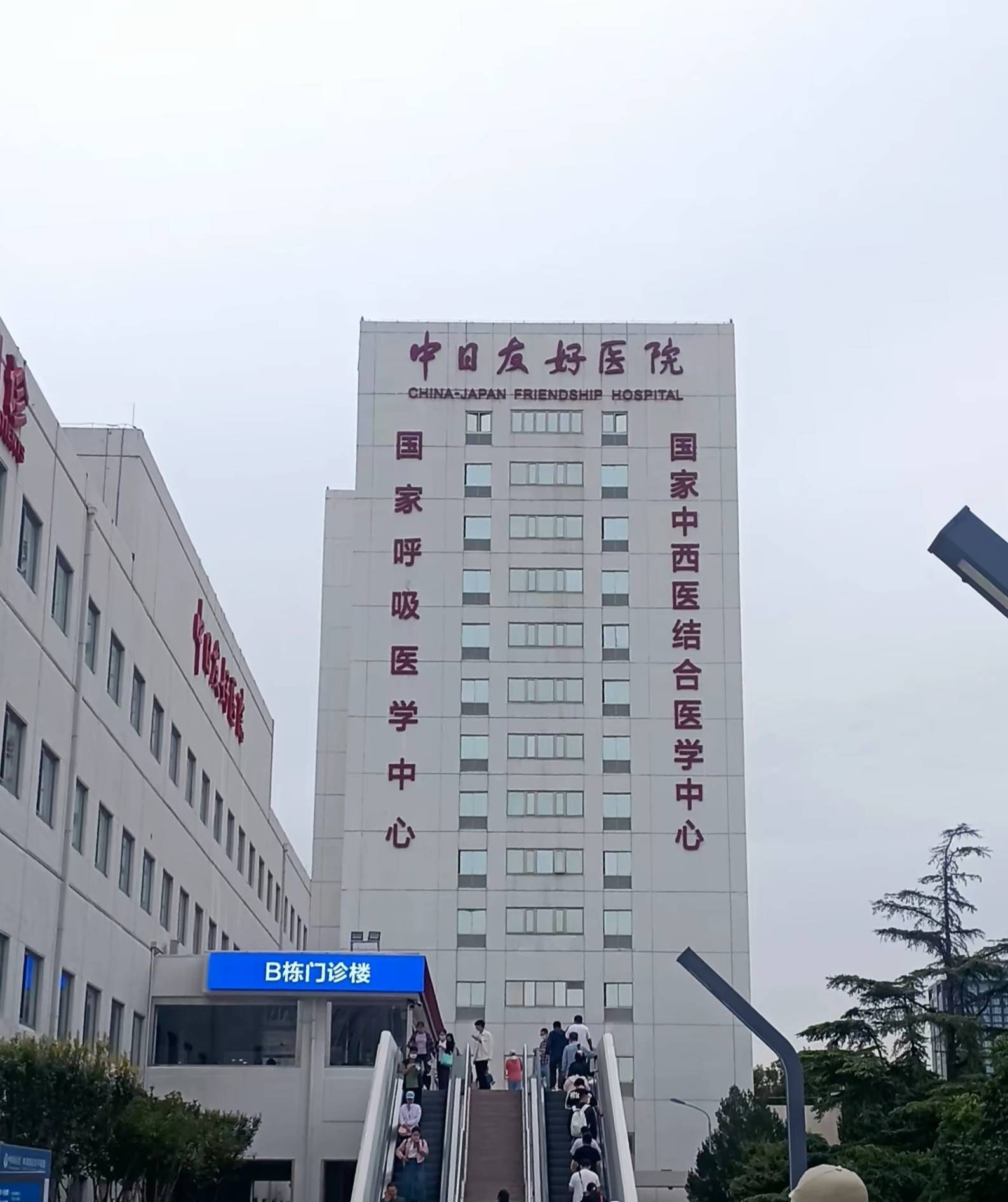中日友好医院代取报告代挂号缓解就医焦虑的简单介绍