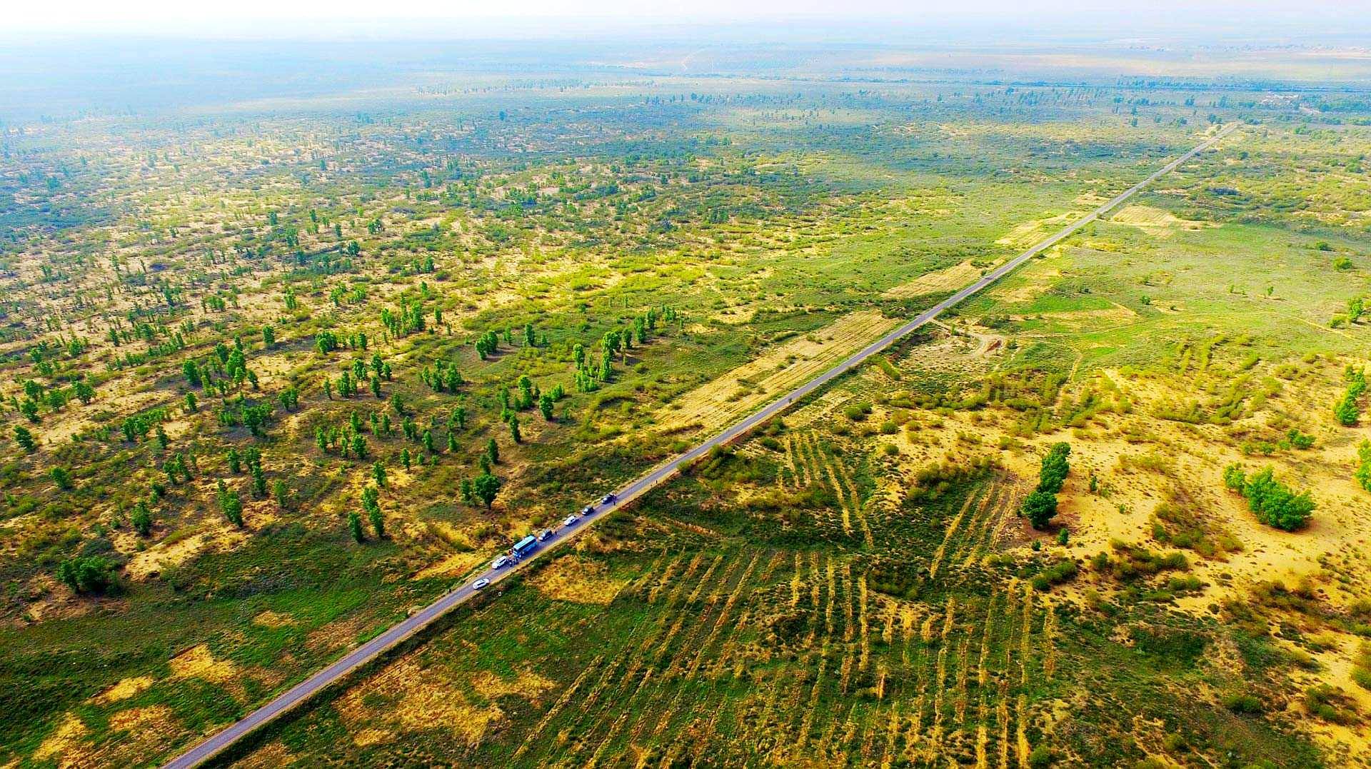 中国人种树有多厉害?面积相当于8个韩国的毛乌素沙漠,重现绿洲