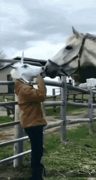 搞笑GIF：姑娘，你在这39°的天气穿裙子骑共享电动车，会不会有点？