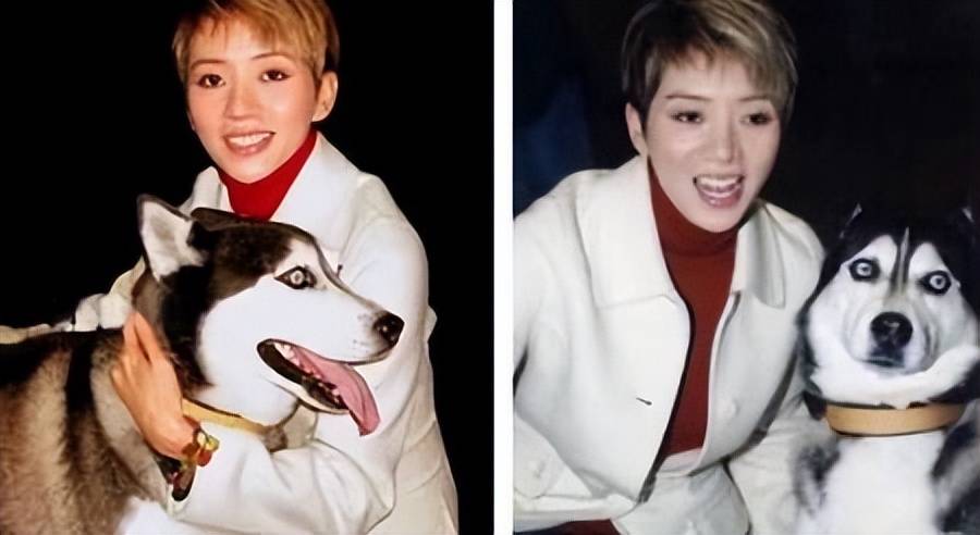 2003年梅艳芳去世,"他"为爱绝食,滴水未进,头七追随她而去