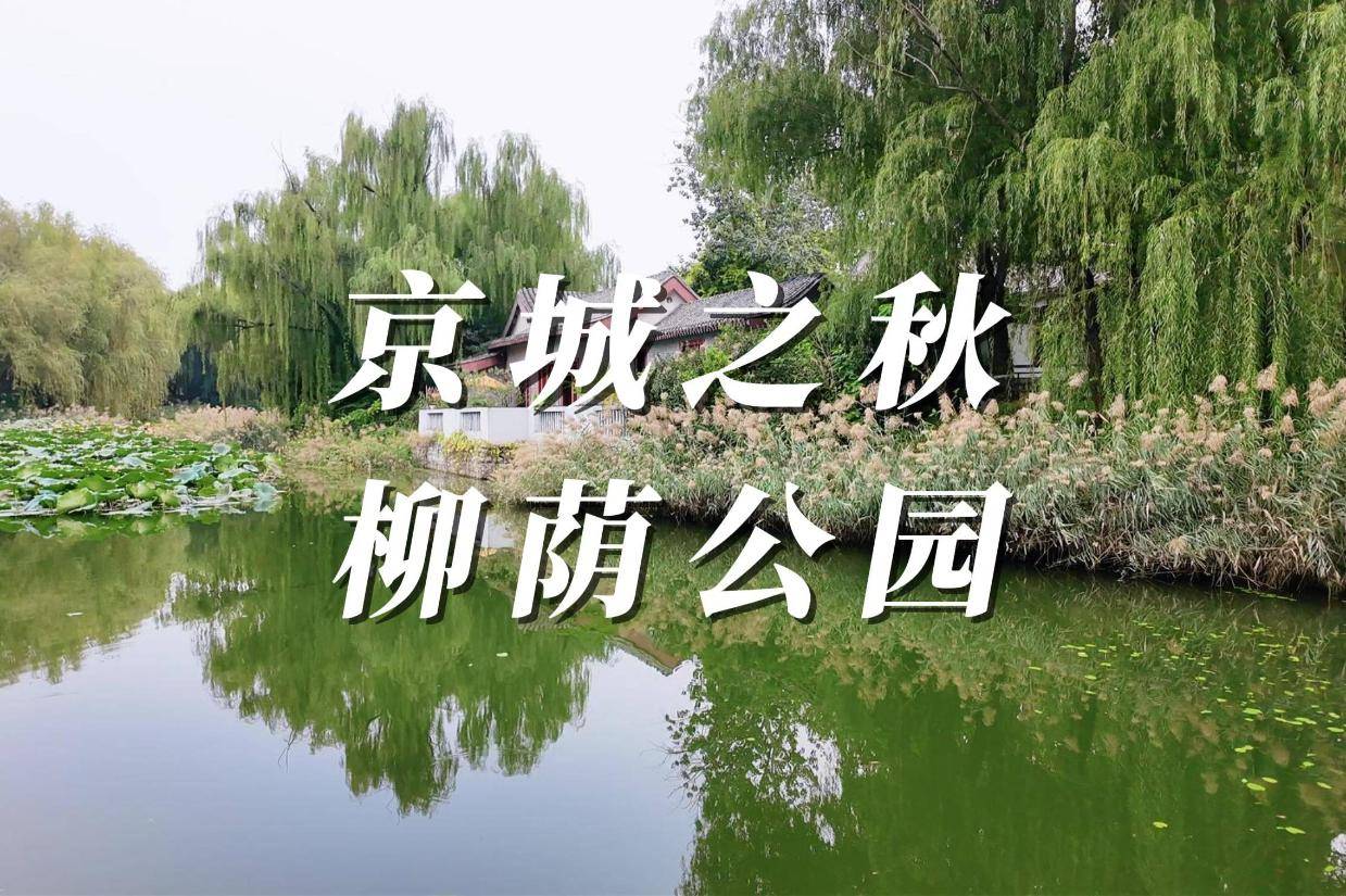 北京深秋，在市内想找个幽静赏秋的地方？就来这里吧，柳荫公园