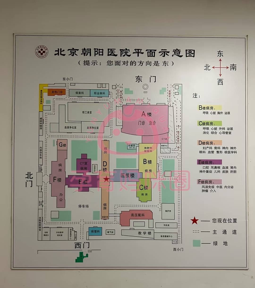朝阳医院医院排队代办挂号重症患者全程照料，身心都得到安抚的简单介绍