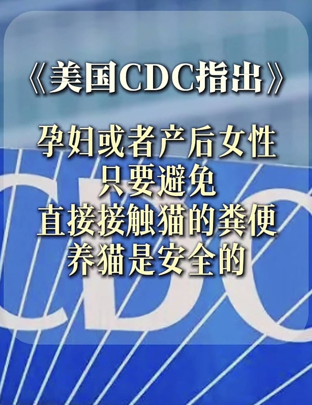 社区医生：怀孕别养猫了,二手烟反倒没事！孕妇无语了