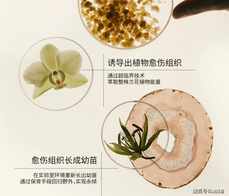 护肤品牌“LAN”陷备案风波:杭州上城区市监局已介入处理(图2)