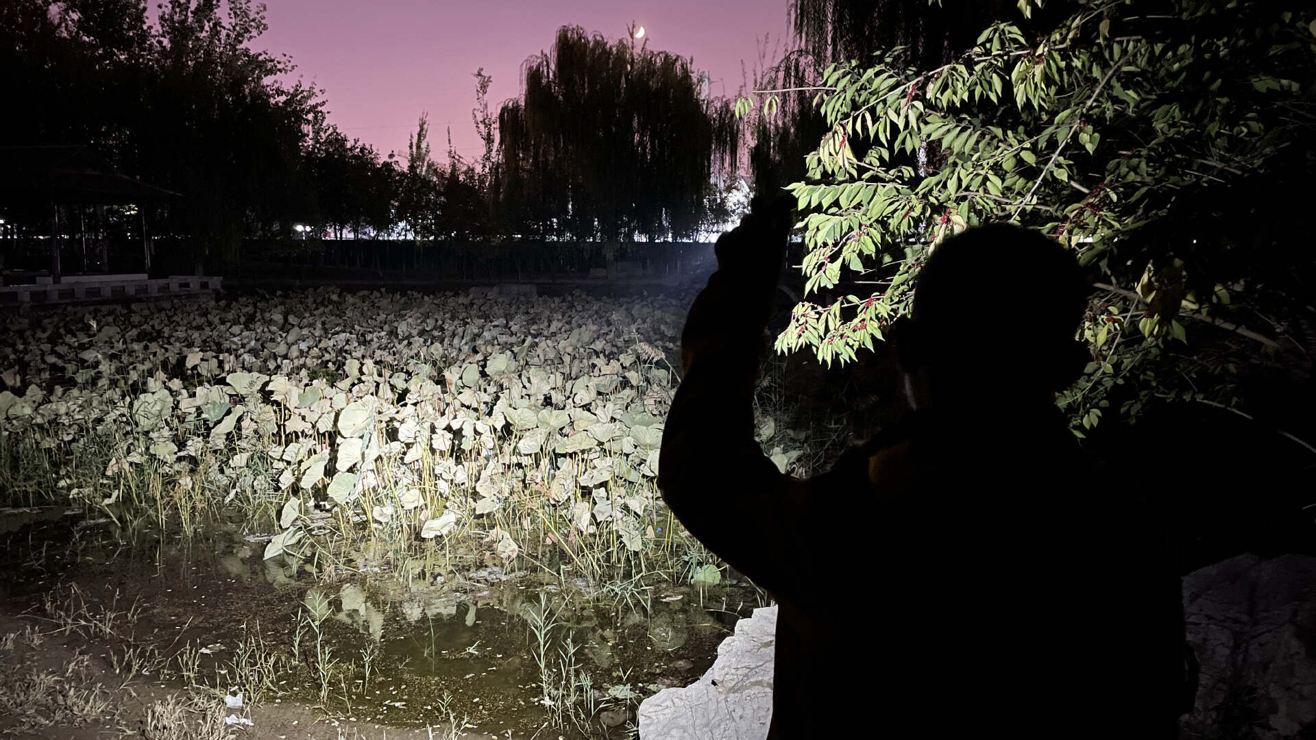 颇多乐趣的EDC多功能手电,有这一个就够了!务本X4硬朗手电体验