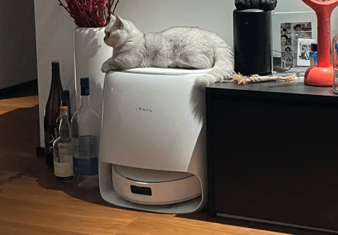 双11应该买什么东西？盘点2025年十款口碑最好的好物清单