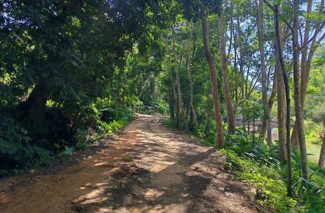 11月09日-【第十一届惠州30公里】全民健身,第十一届惠州30公里徒步活动开放报名!