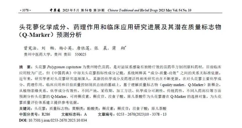 清热泻火,利尿通淋,探秘热淋清颗粒的核心成分头花蓼