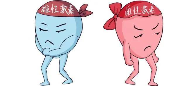 经期忍不住同房了,对于女性的伤害到底有多大？