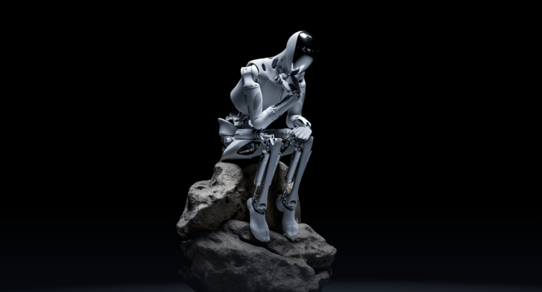 小鹏物理AI的尽头,是马斯克的现金流